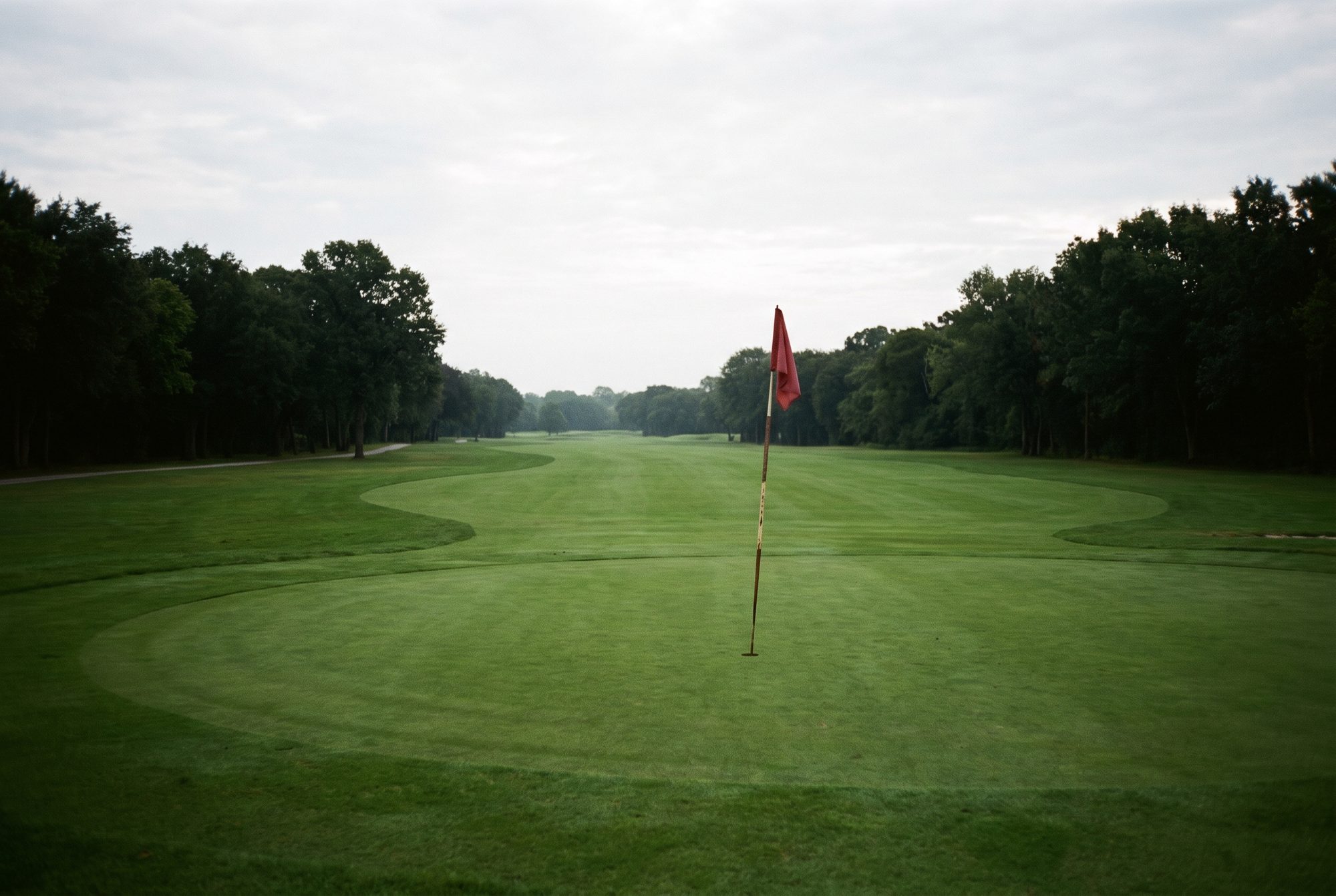 Dawn mist over an emerald fairway beneath century old rain trees at Royal Colombo